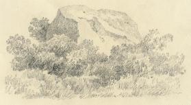 Peña y árboles, julio de 1906
